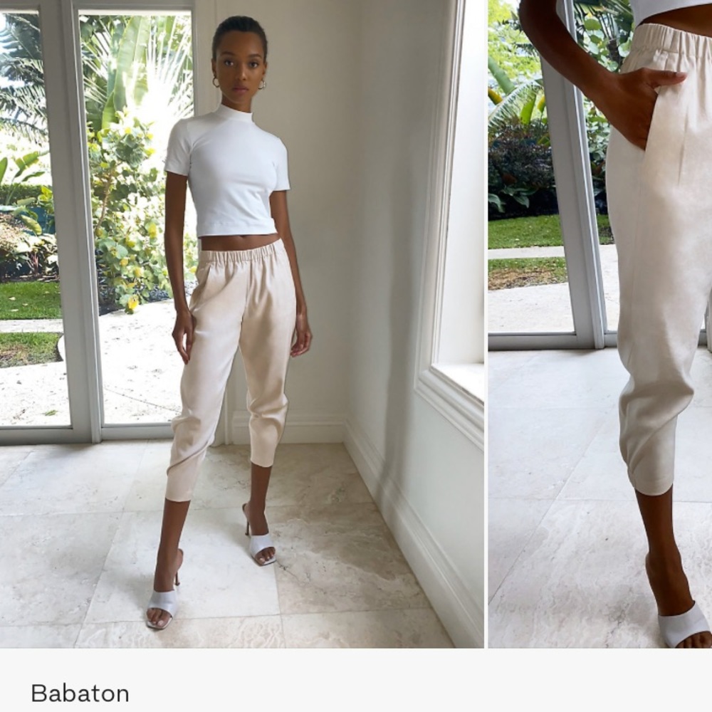 Aritzia Babaton Pants